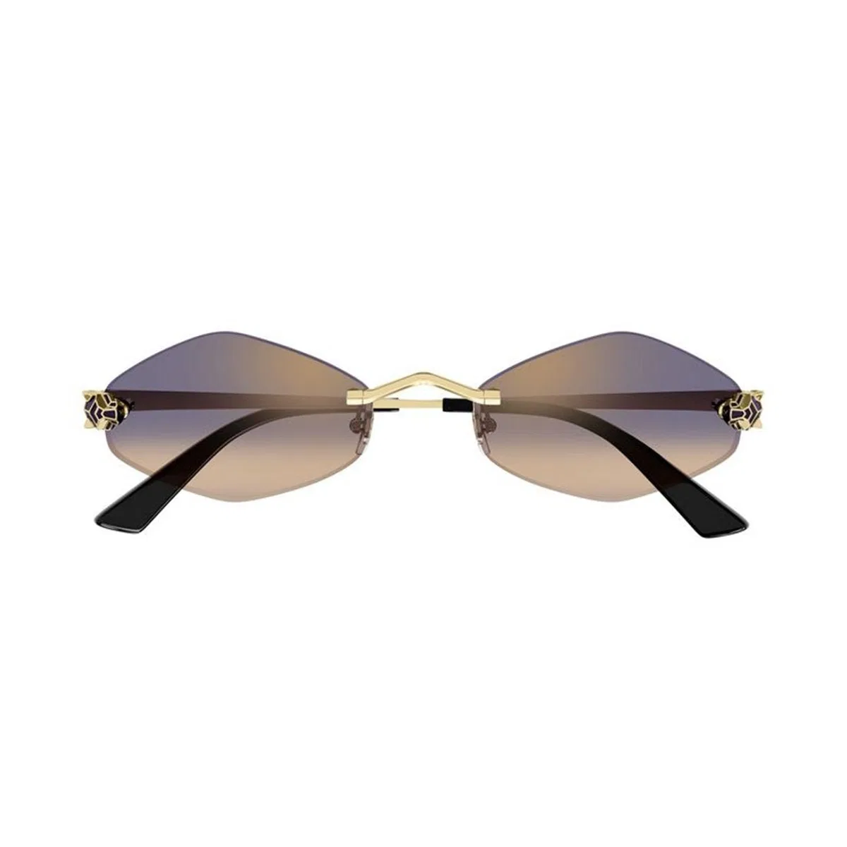 Cartier Ct0433s 005