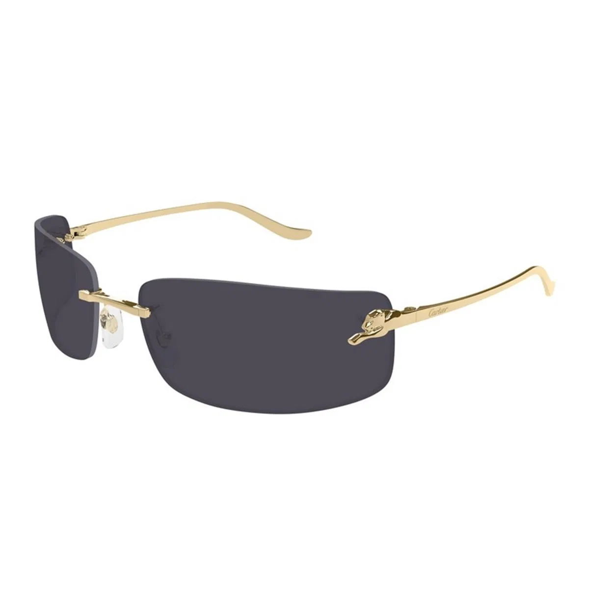 Cartier Ct0503s 001