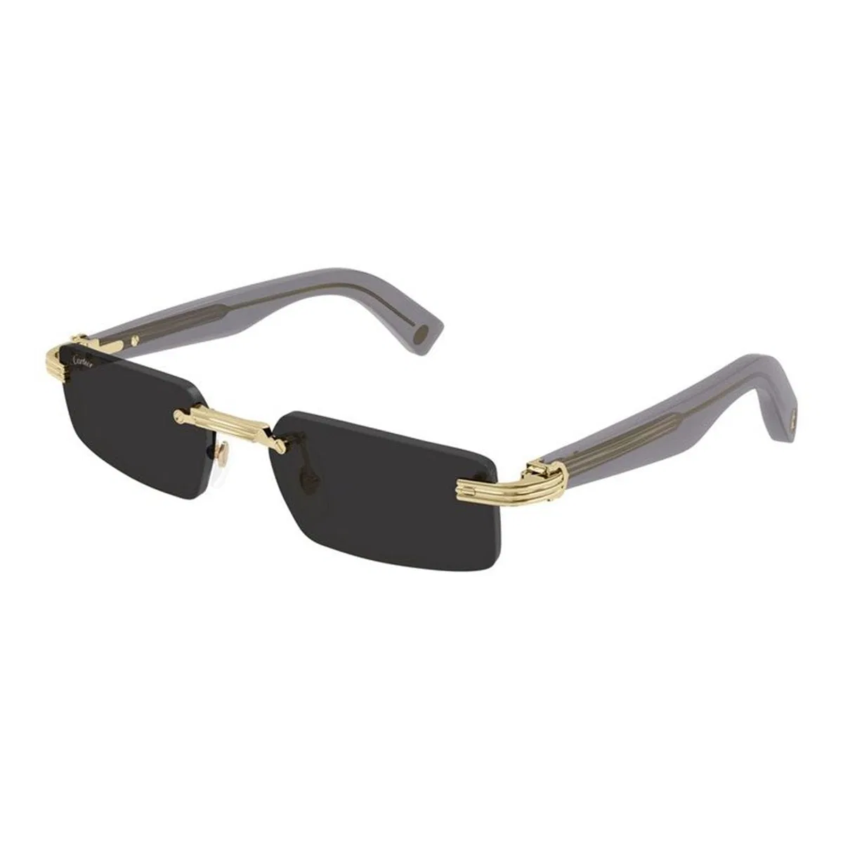 Cartier Ct0537s 001