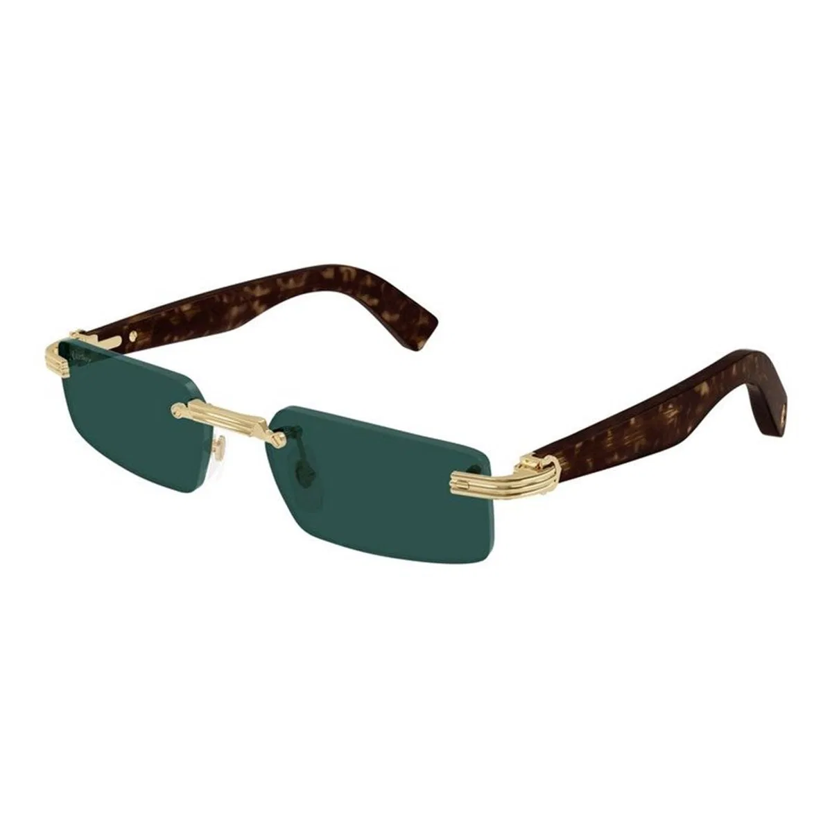 Cartier Ct0537s 002