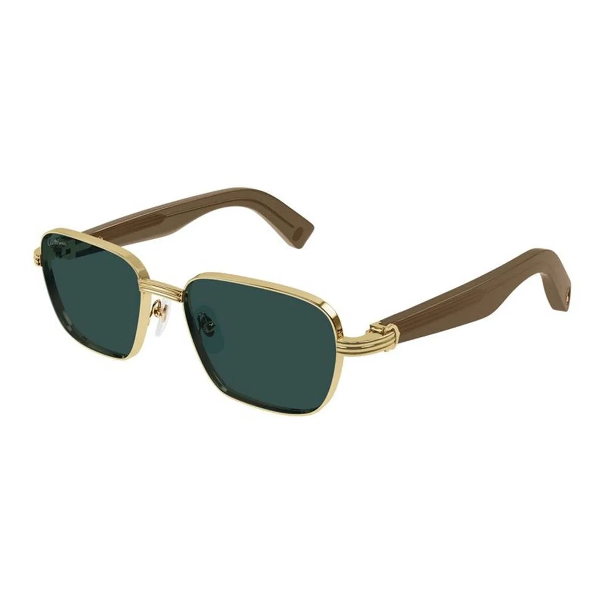 Cartier Ct0538s 007