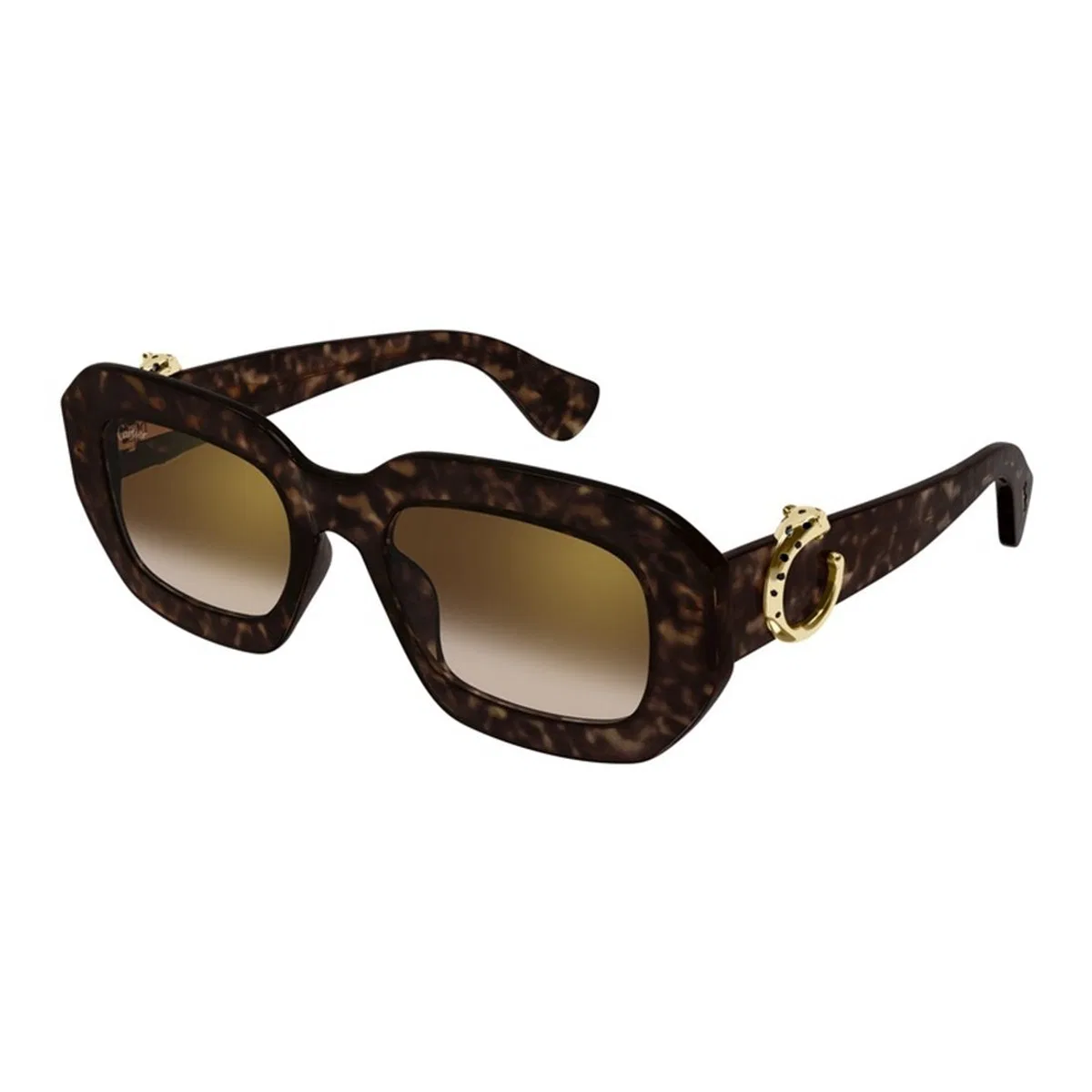 Cartier Ct0546s 002