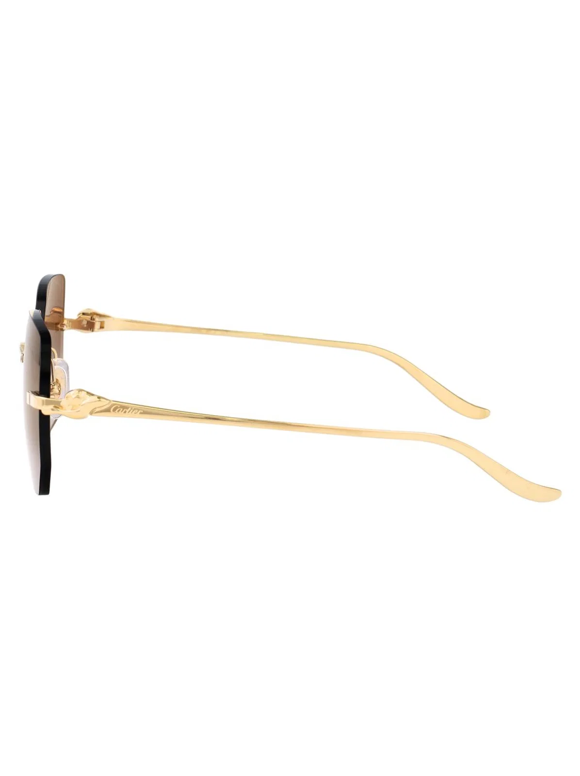 Cartier Ct0549s 001