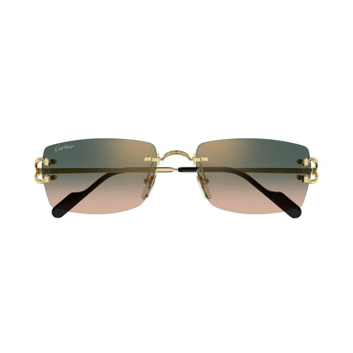 Cartier Ct0550s 009