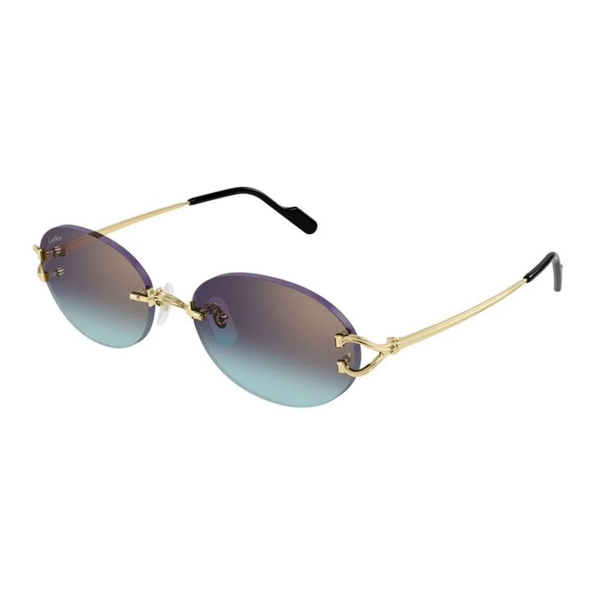 Cartier Ct0551s 008