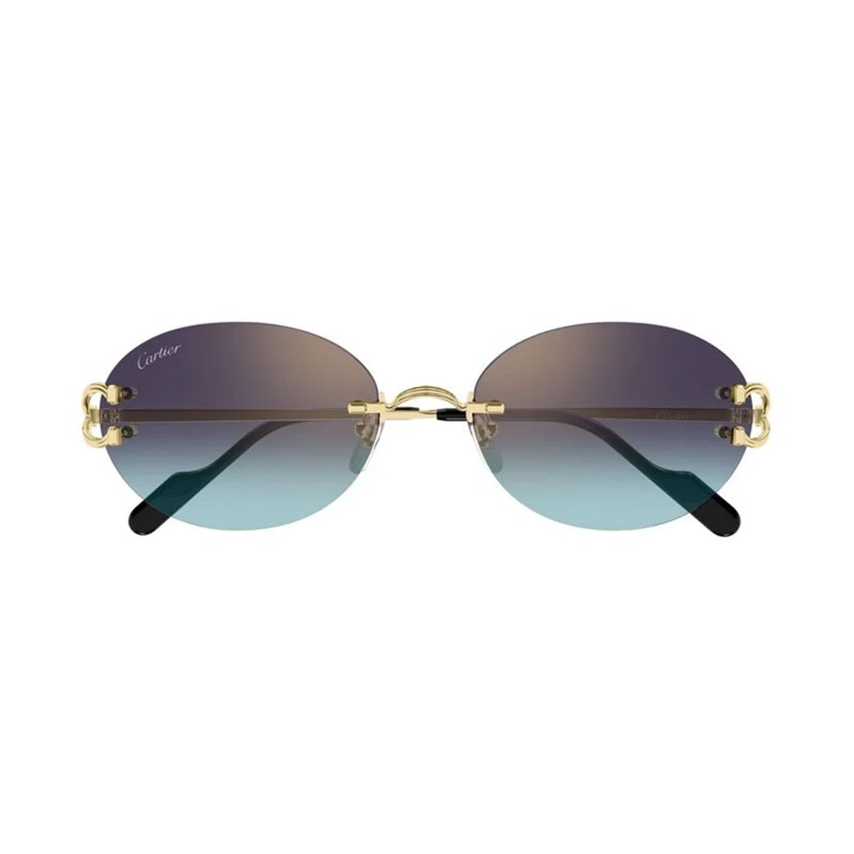 Cartier Ct0551s 008