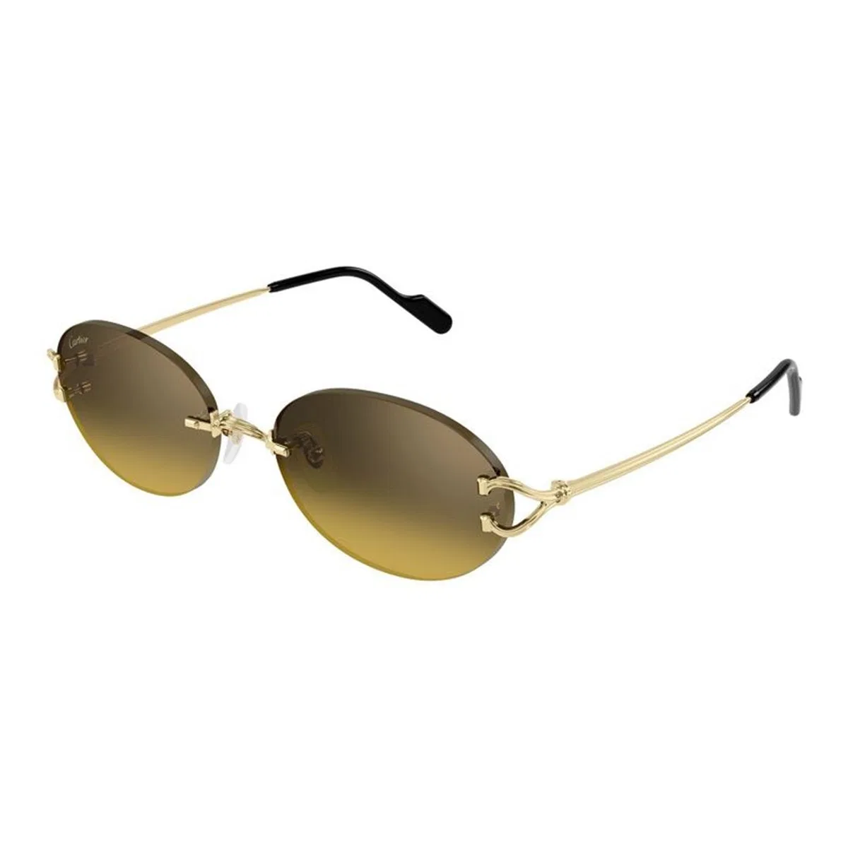 Cartier Ct0551s 009