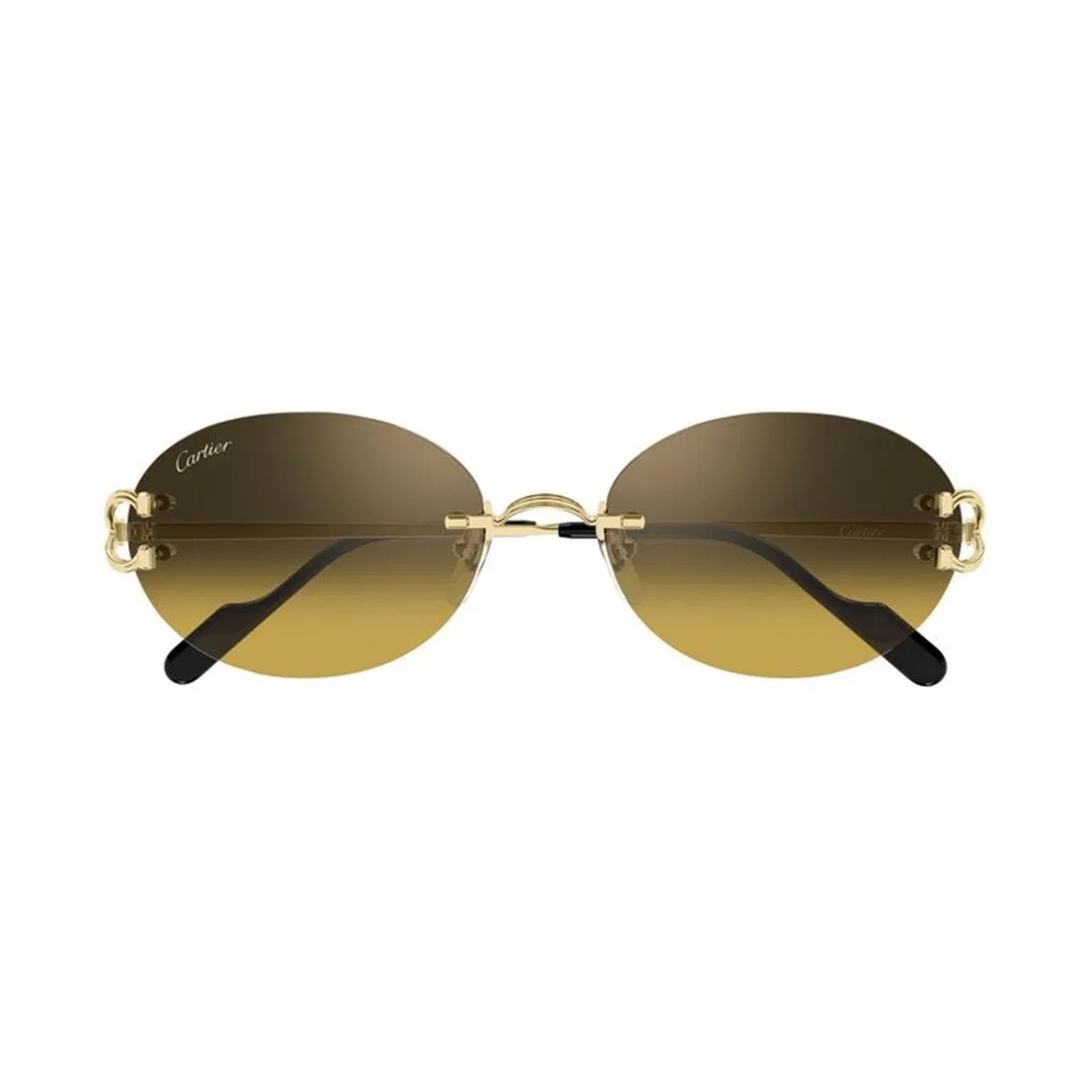 Cartier Ct0551s 009