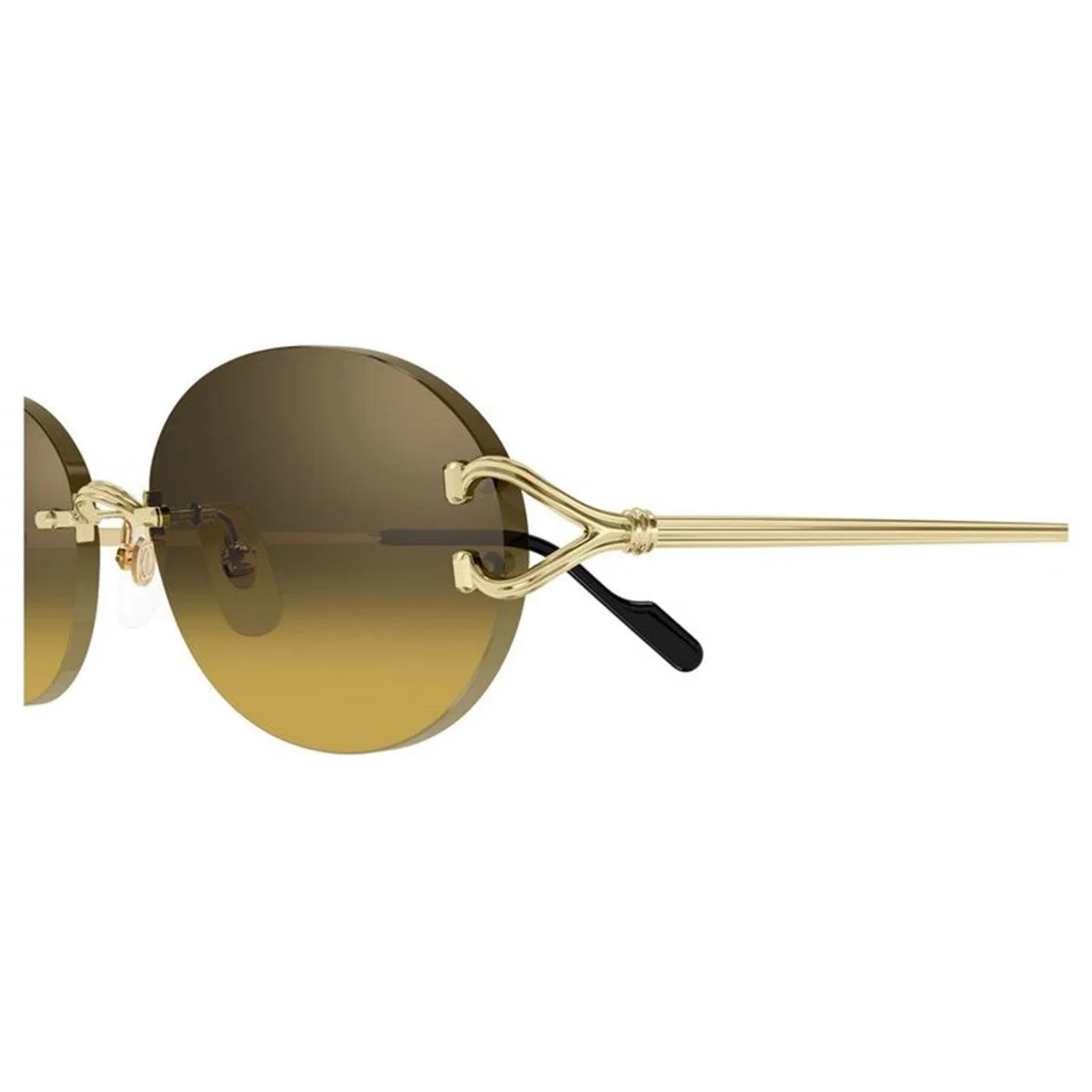 Cartier Ct0551s 009
