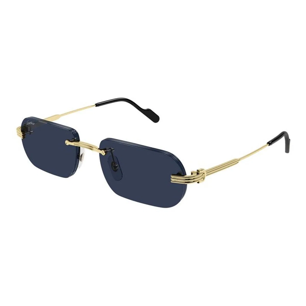 Cartier Ct0577s 003