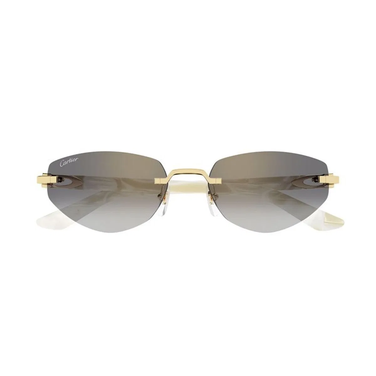 Cartier Ct0580s 003