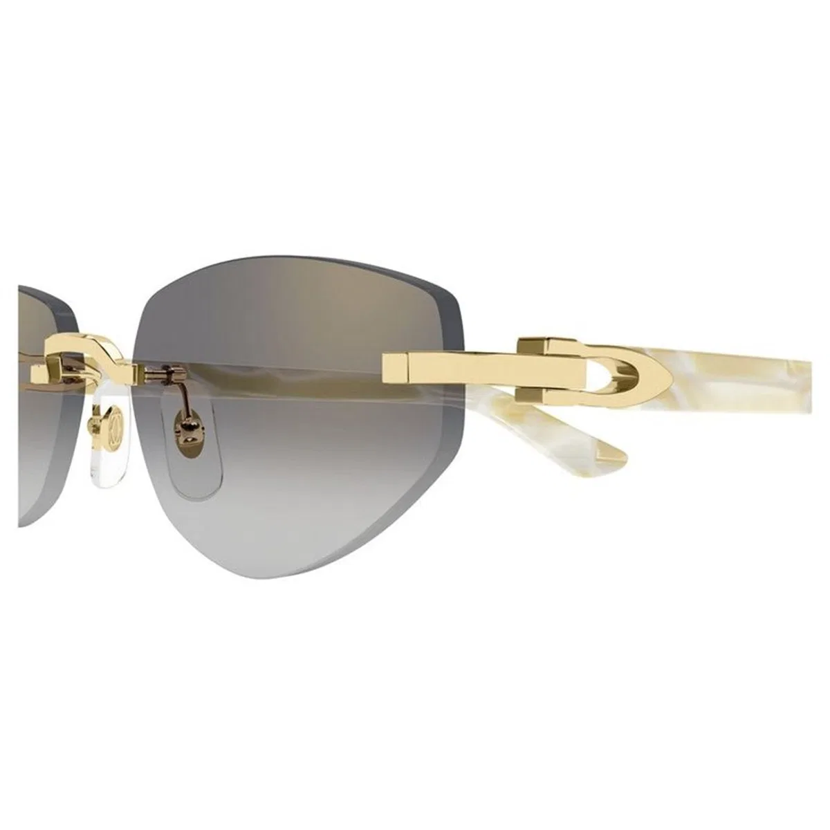 Cartier Ct0580s 003