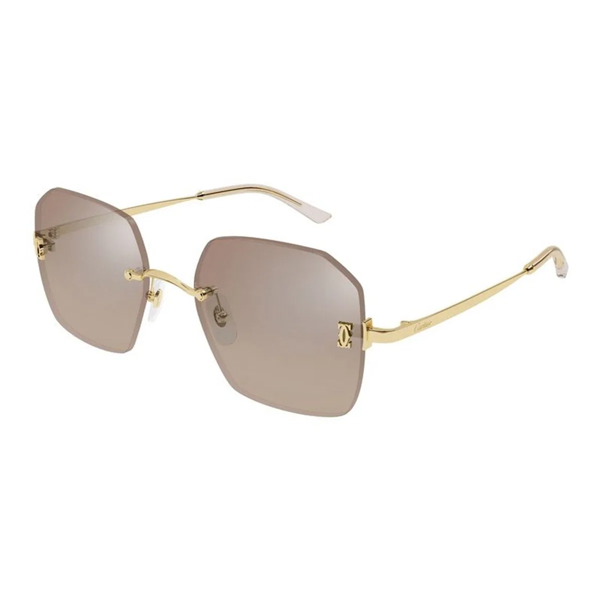 Cartier Ct0591s 003