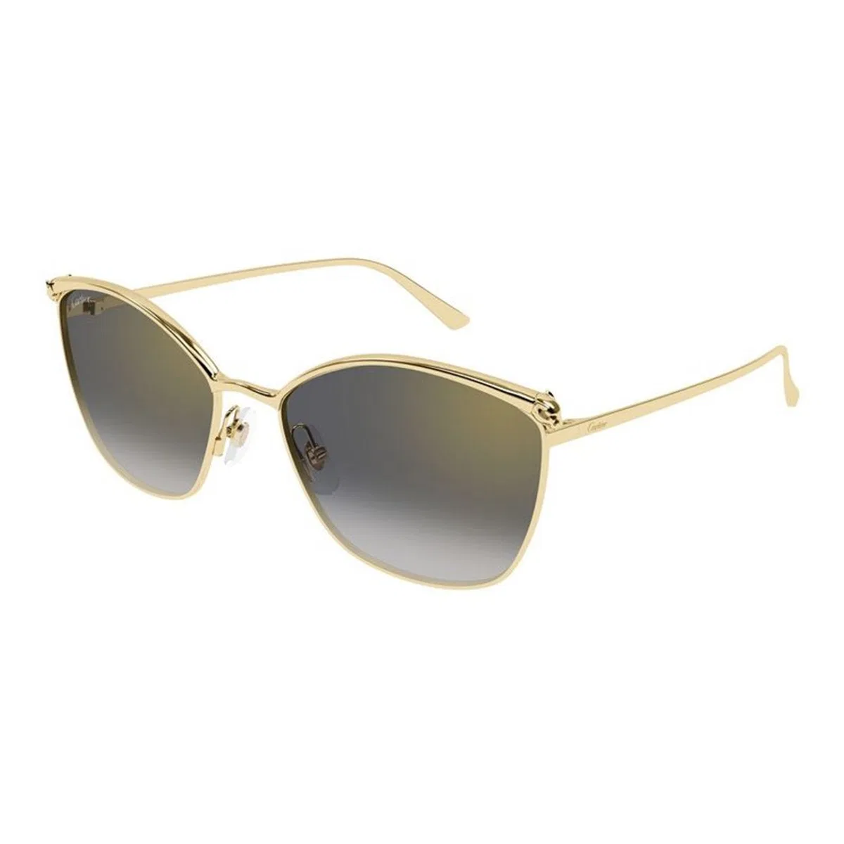 Cartier Ct0595s 001