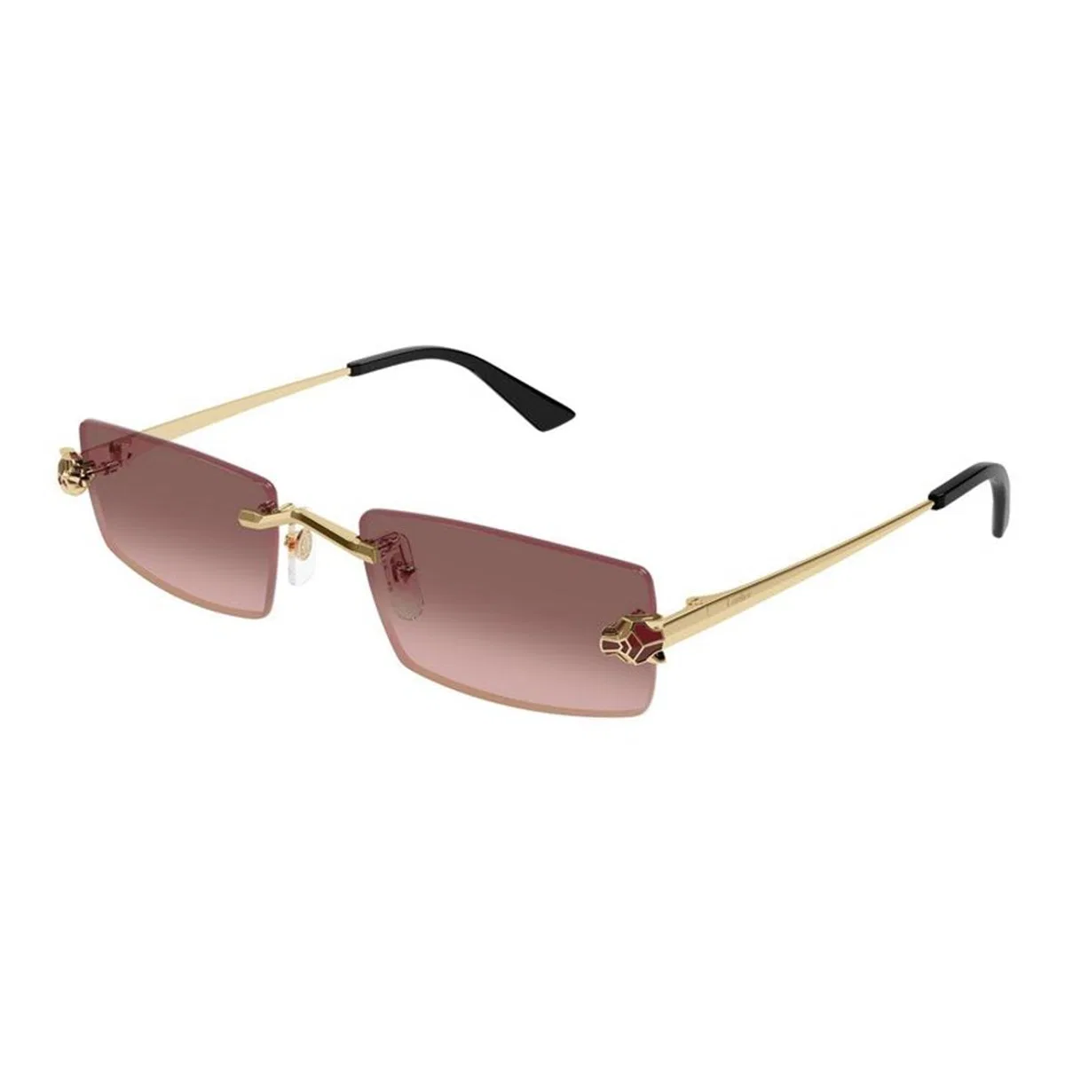 Cartier Ct0598s 004