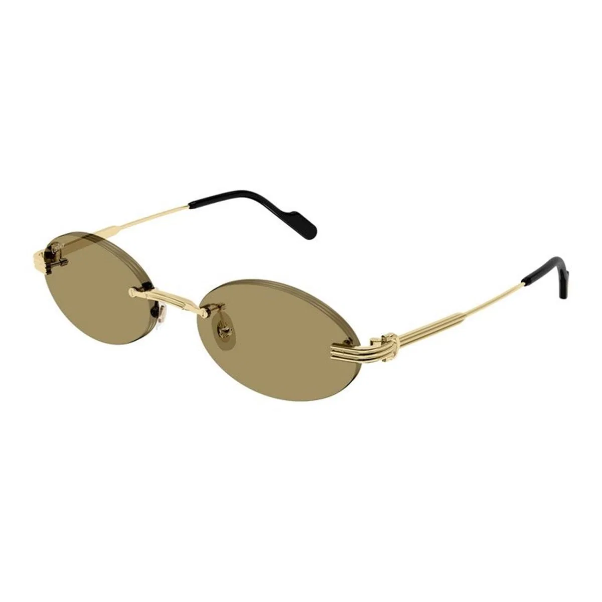 Cartier Ct0615s 002