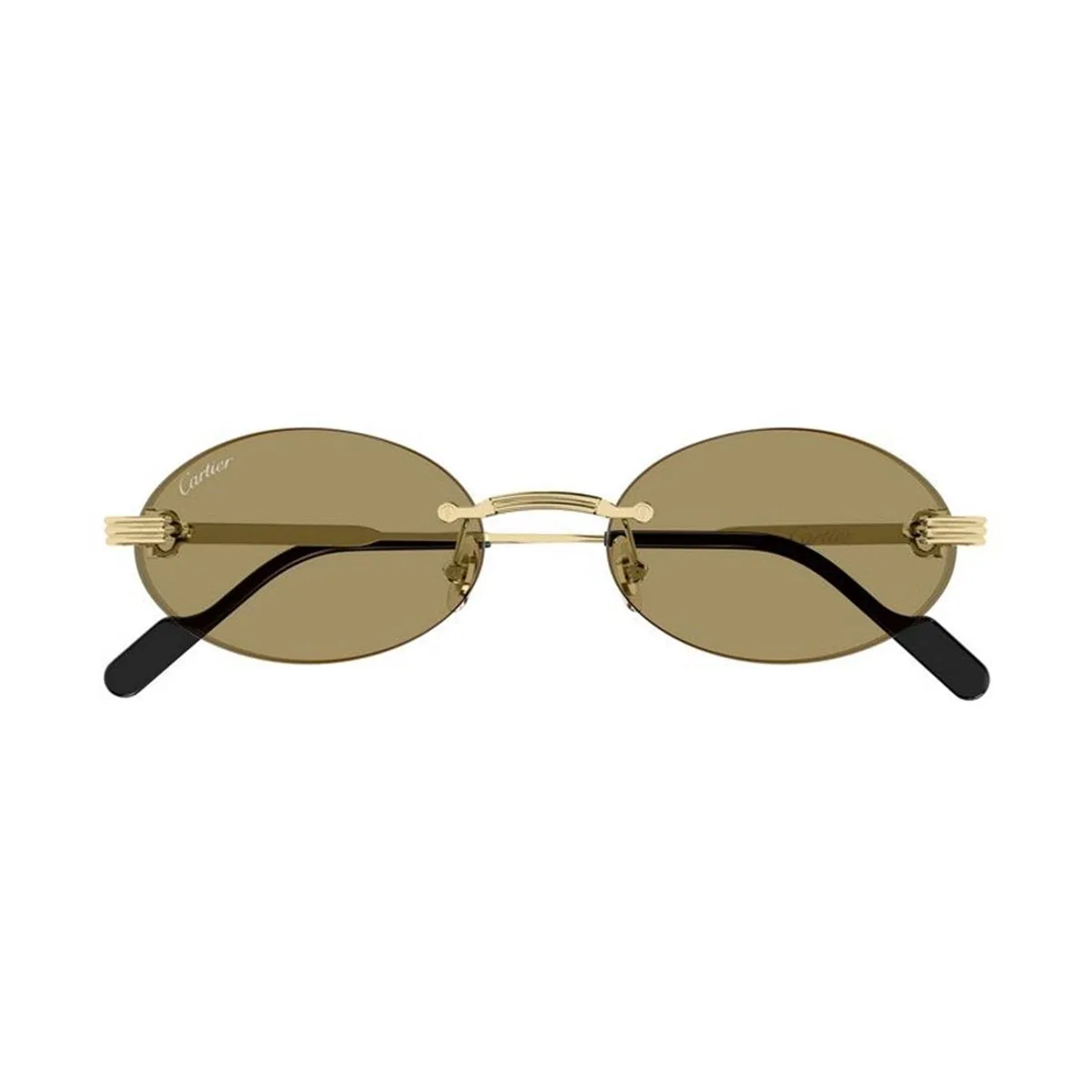 Cartier Ct0615s 002