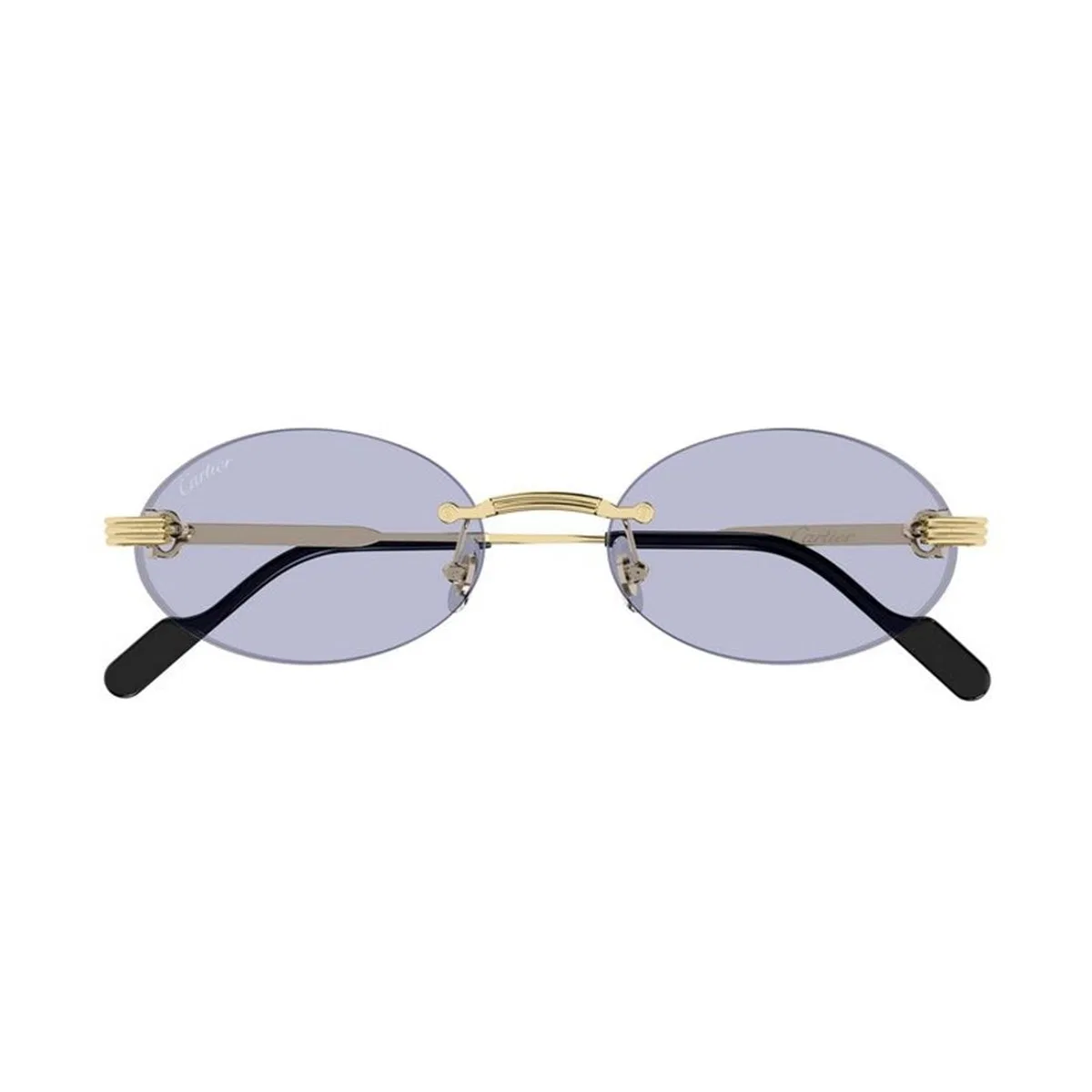 Cartier Ct0615s 004