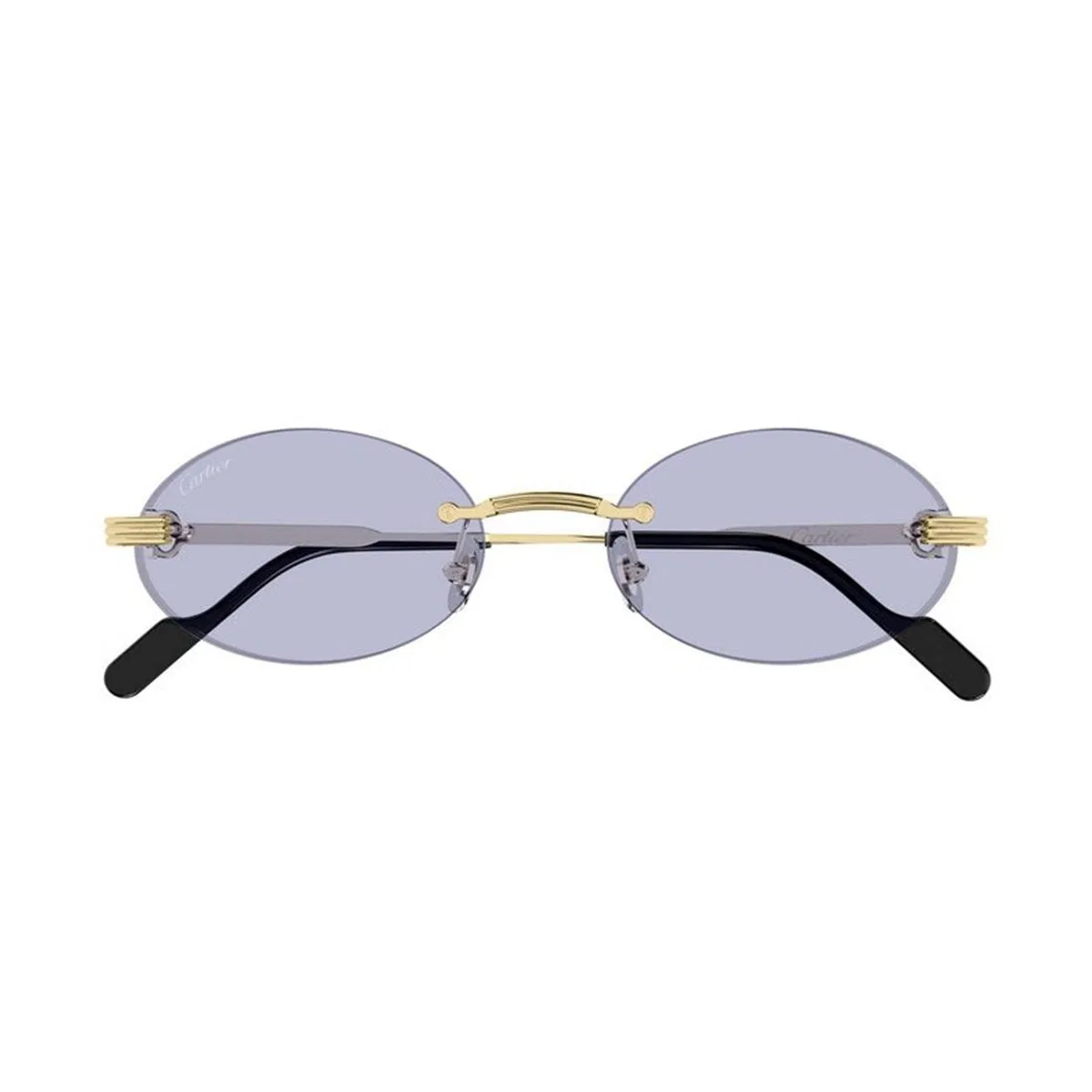 Cartier Ct0615s 009