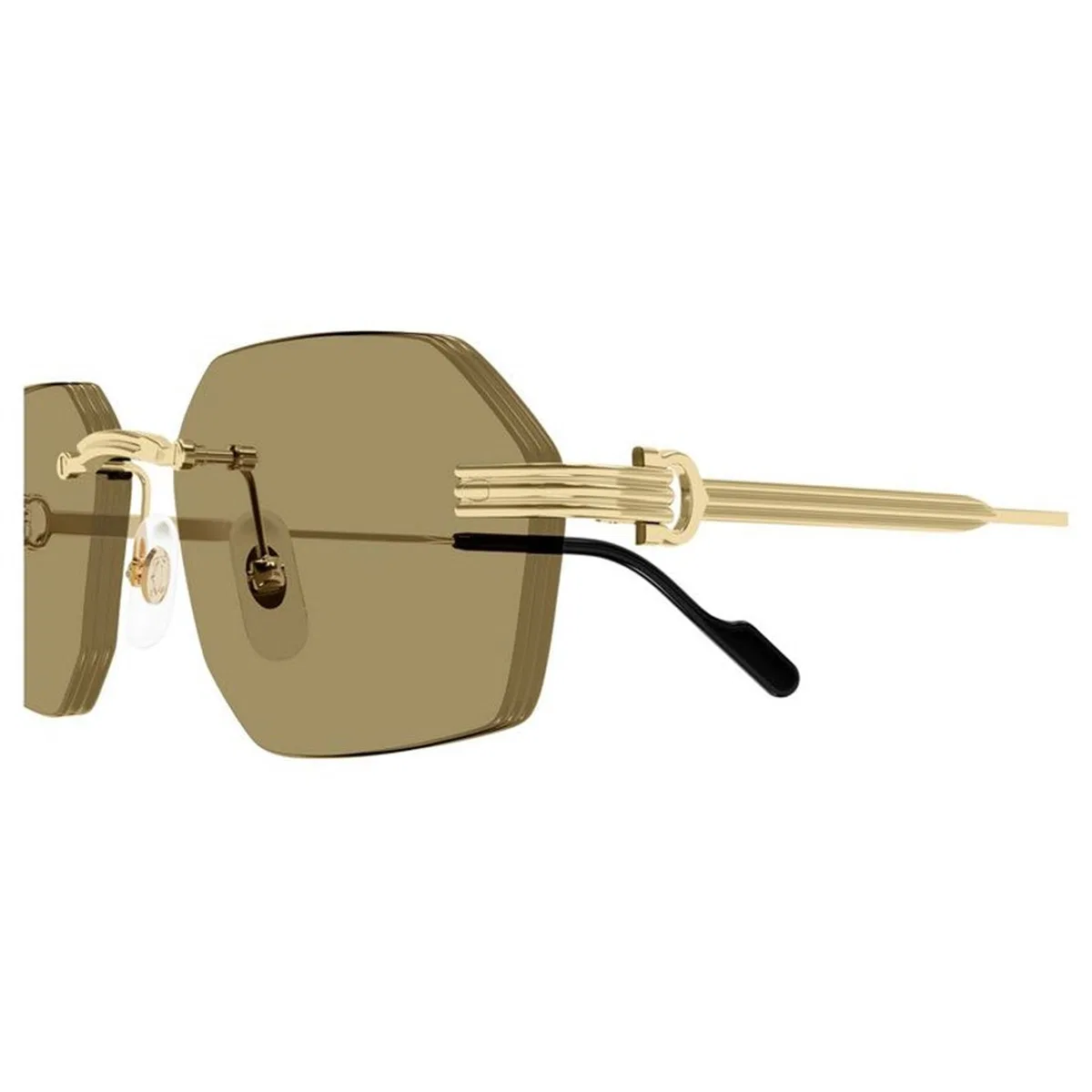 Cartier Ct0616s 002