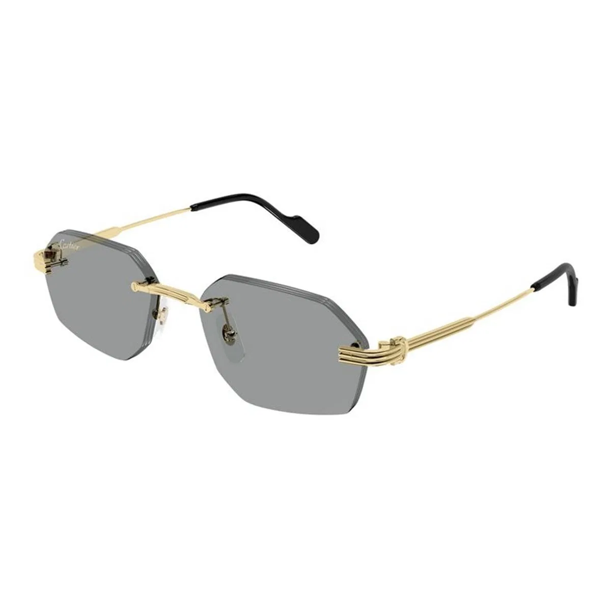 Cartier Ct0616s 004