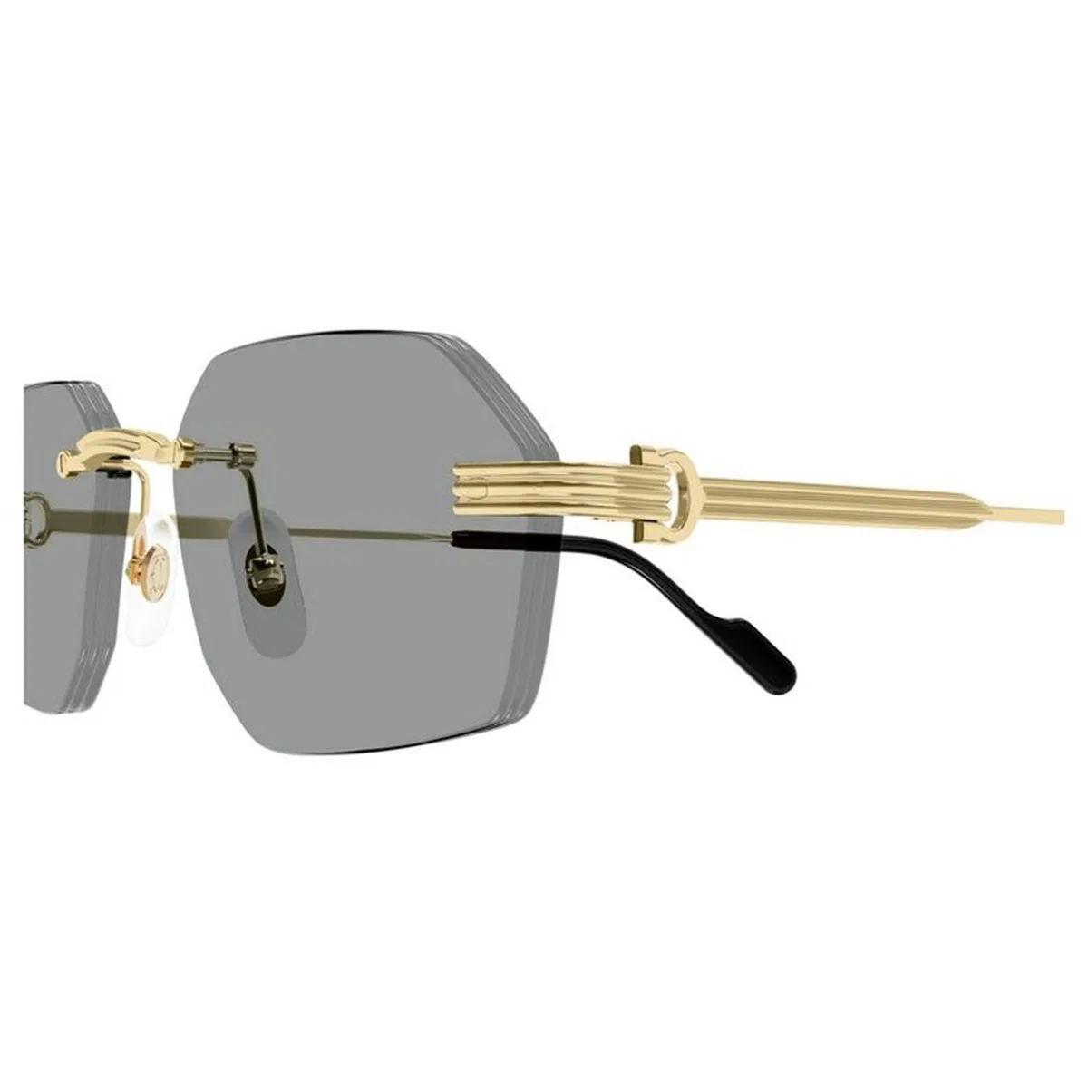 Cartier Ct0616s 004