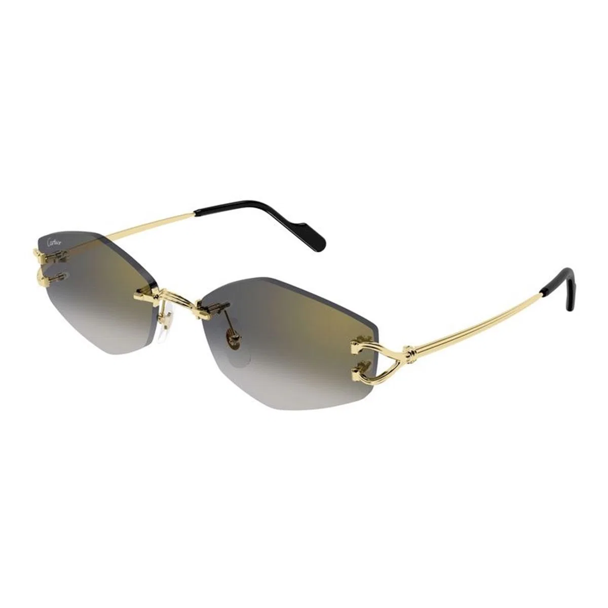 Cartier Ct0620s 001