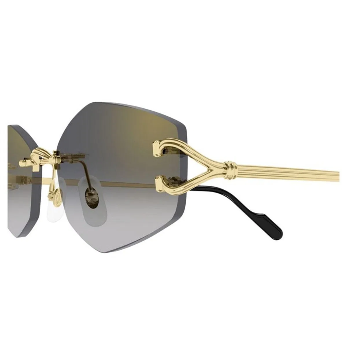 Cartier Ct0620s 001