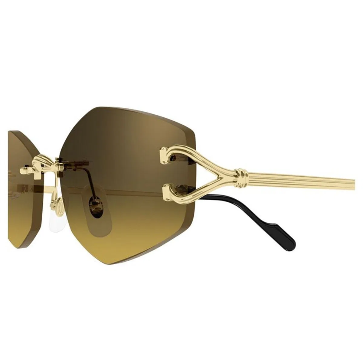 Cartier Ct0620s 003