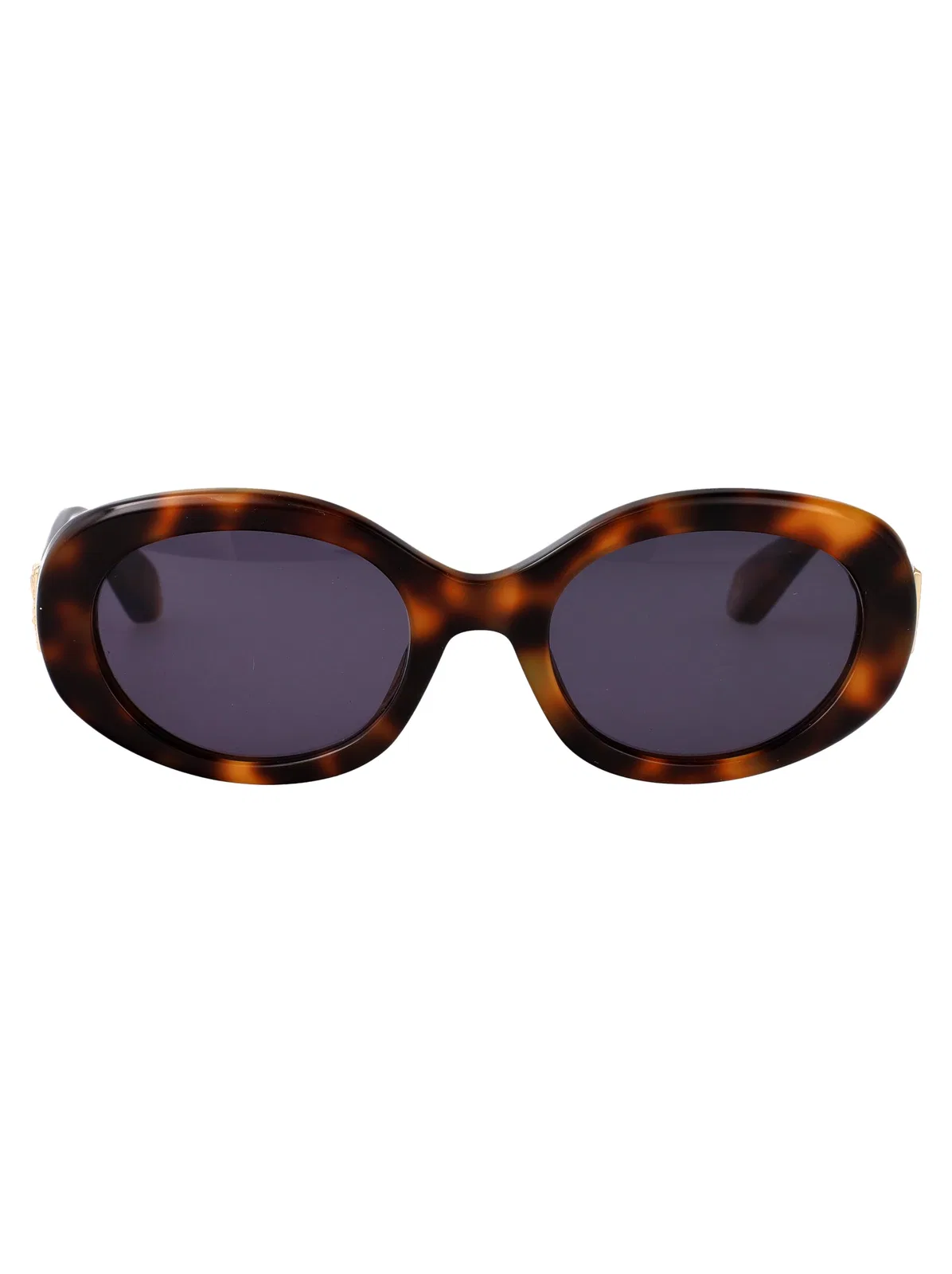 Roberto Cavalli Avana Marrone Acetate Sunglasses