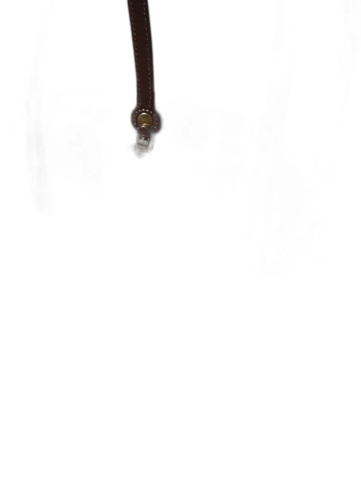 Etro Shopping Essential M Brown Amebas Logo